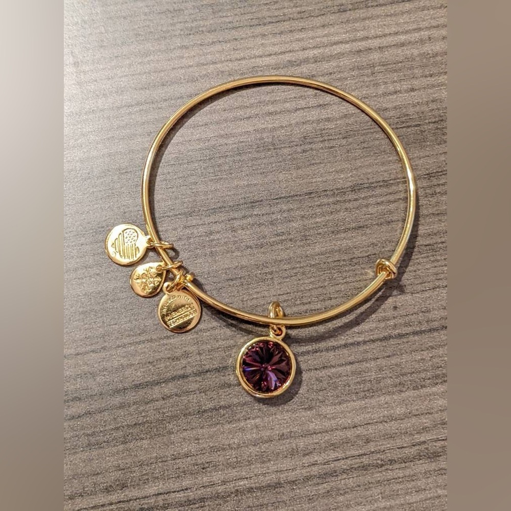 Alex & Ani February Birthstone bracelet